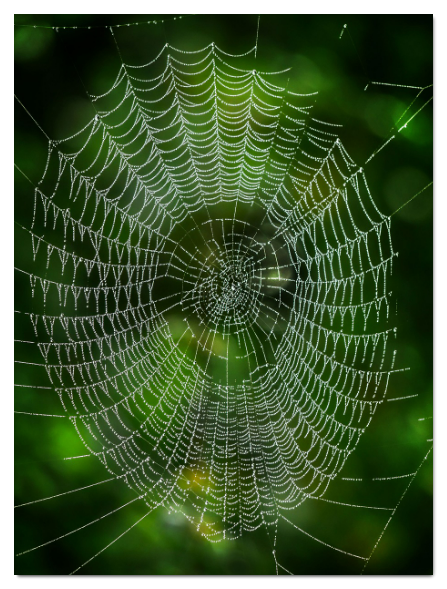 스크린샷 2024-06-18 152451.png