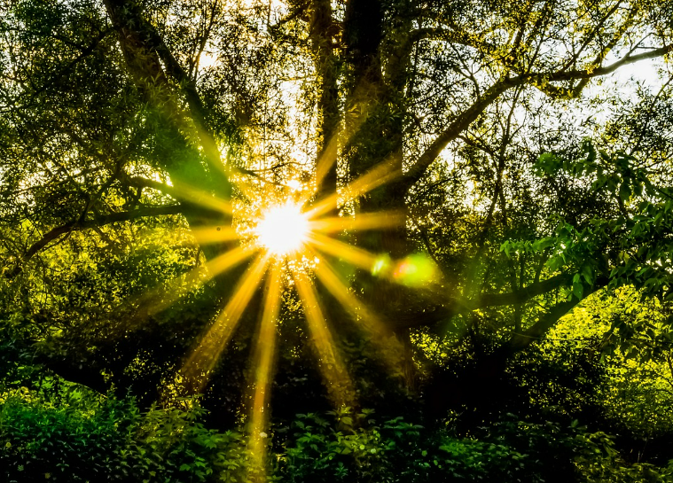 스크린샷 2024-05-16 123322.png