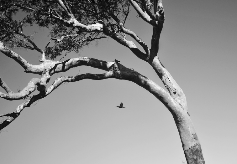 스크린샷 2024-02-03 003314.png