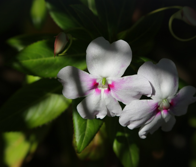 스크린샷 2024-04-25 211333.png