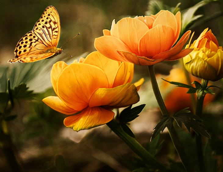 스크린샷 2024-03-09 140852.png