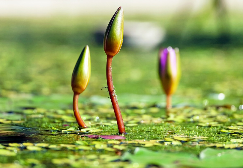 스크린샷 2024-03-06 074320.png