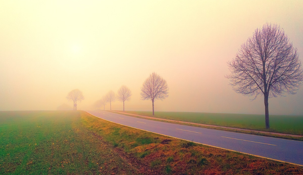 스크린샷 2024-06-25 112625.png