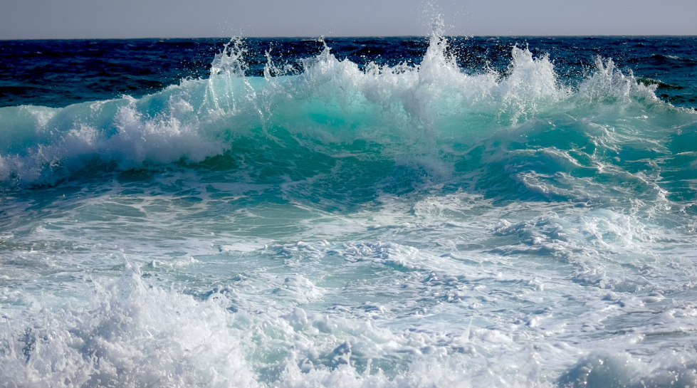 스크린샷 2024-03-07 072618.png