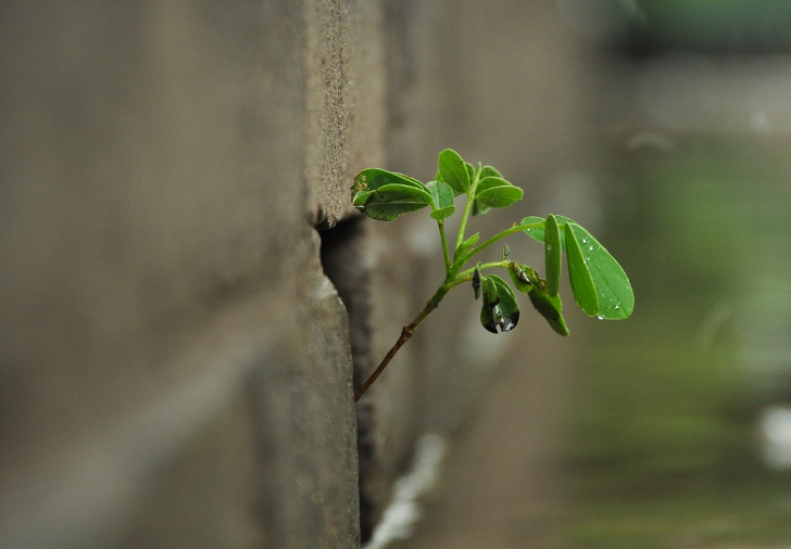 스크린샷 2024-03-08 104326.png