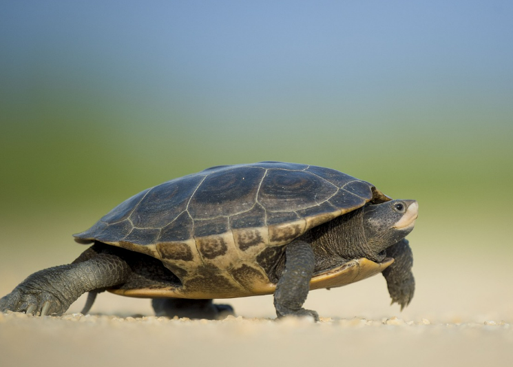 스크린샷 2024-04-24 093739.png