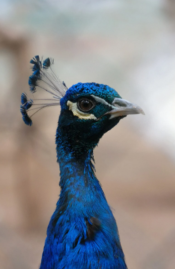 스크린샷 2024-04-25 211519.png