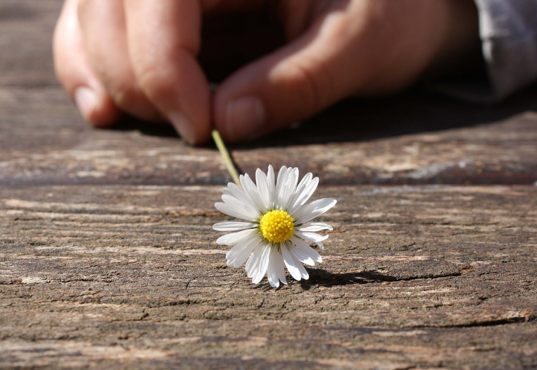 스크린샷 2024-06-26 155454.png