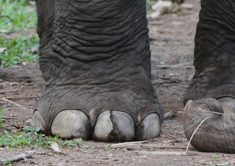 스크린샷 2024-05-15 095656.png