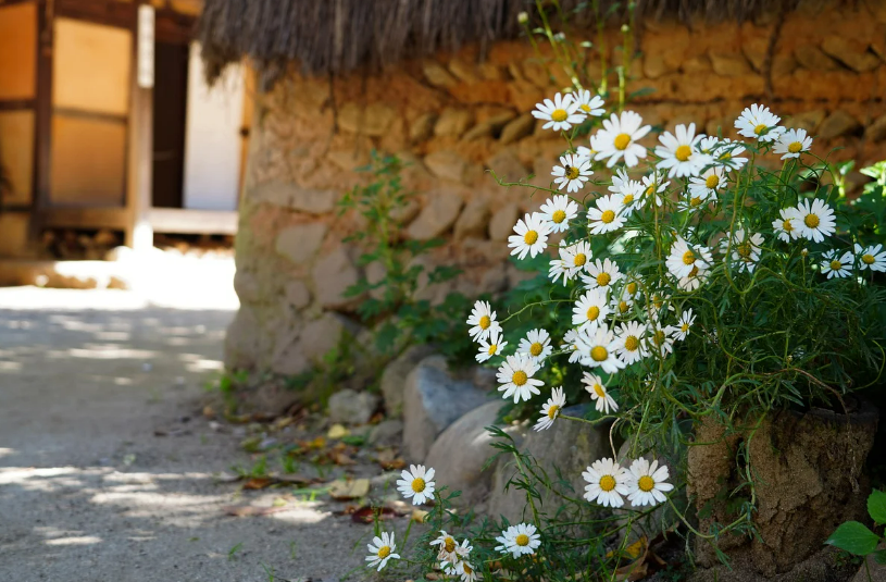 스크린샷 2024-06-28 164802.png