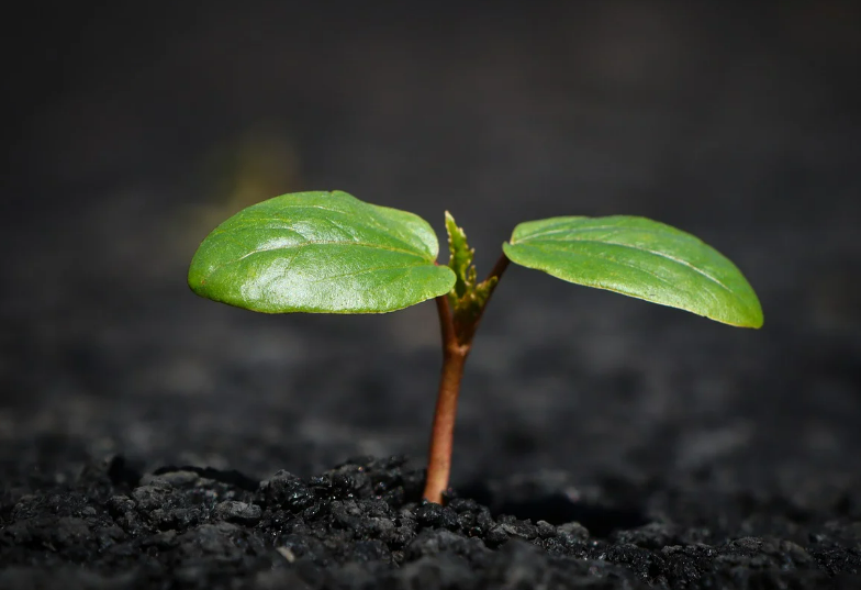 스크린샷 2024-07-08 223719.png