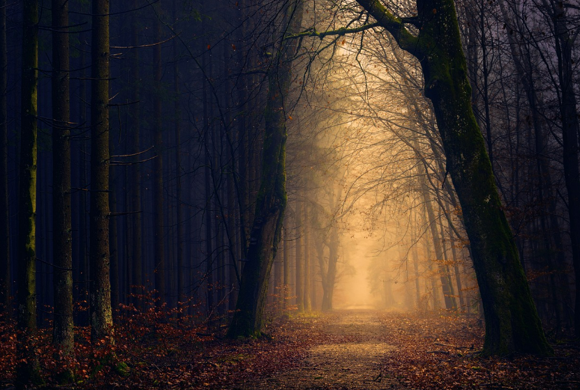 스크린샷 2024-02-16 145825.png