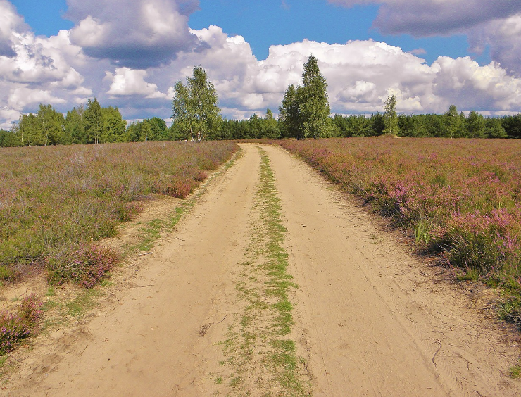 스크린샷 2024-07-12 225922.png