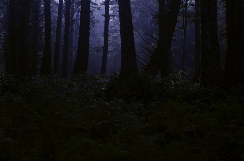 스크린샷 2025-08-21 115110.png