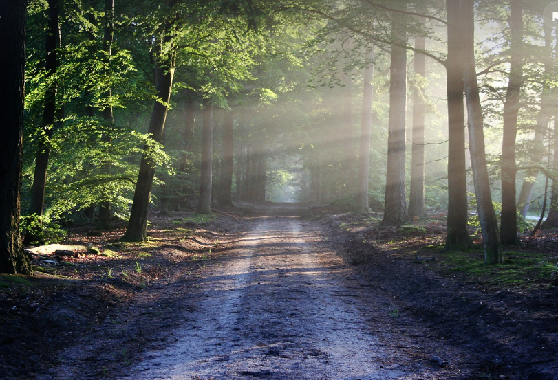 스크린샷 2024-05-16 110615.png