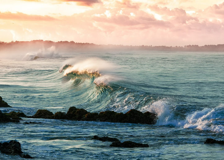 스크린샷 2024-06-24 133755.png