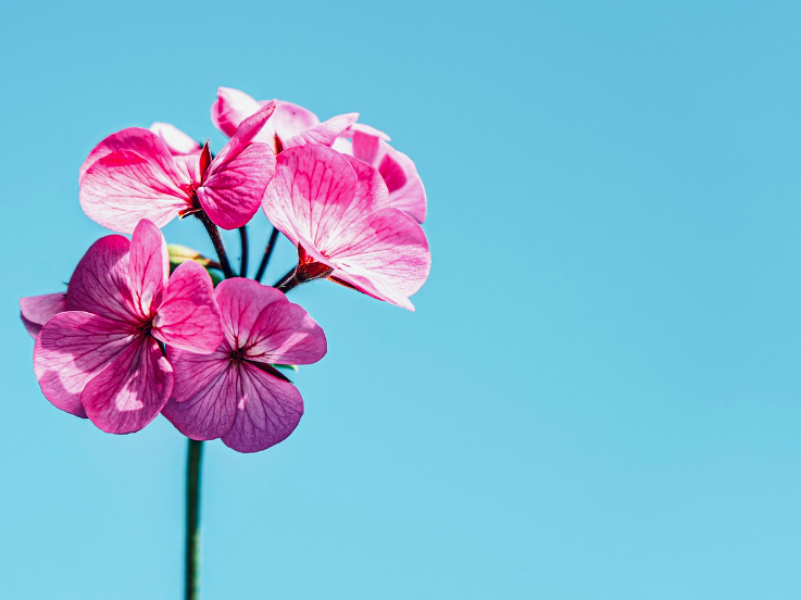 스크린샷 2024-07-03 120001.png