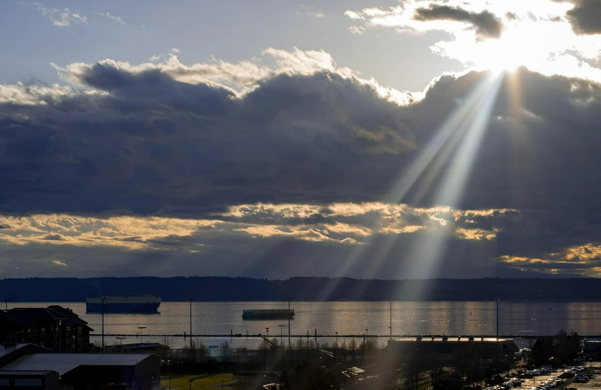 스크린샷 2024-05-14 115204.png