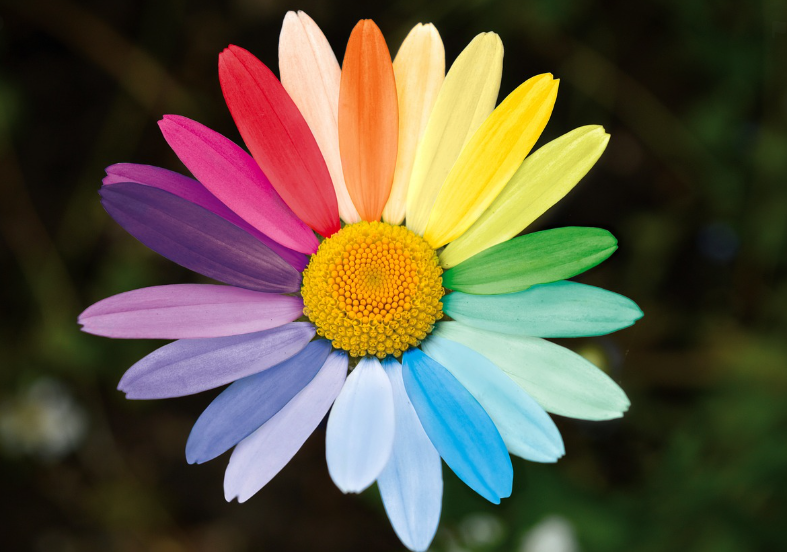 스크린샷 2023-09-20 221025.png