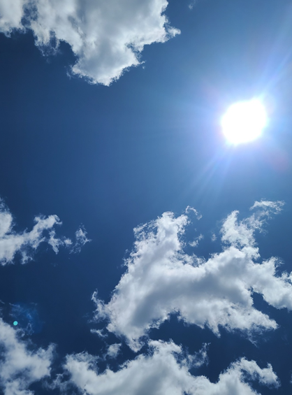 스크린샷 2024-07-01 221918.png