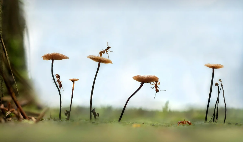 스크린샷 2024-04-24 093341.png