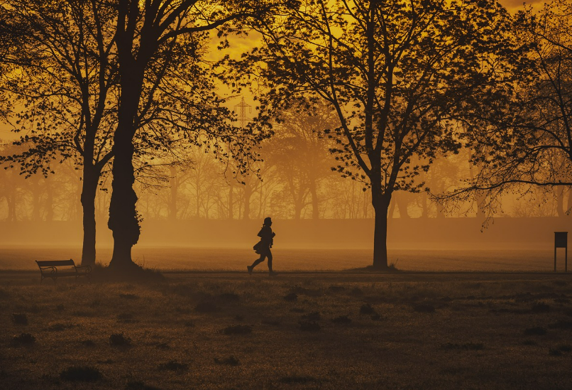 스크린샷 2024-11-23 083945.png