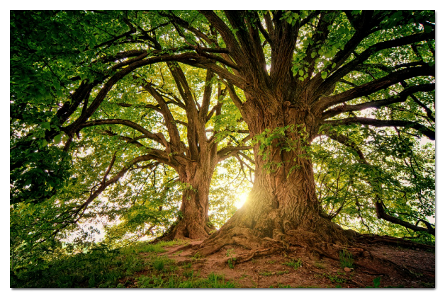 스크린샷 2024-06-17 143546.png