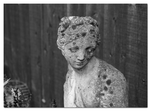 스크린샷 2024-06-17 143421.png