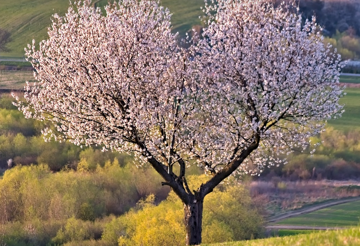 스크린샷 2024-02-16 143727.png