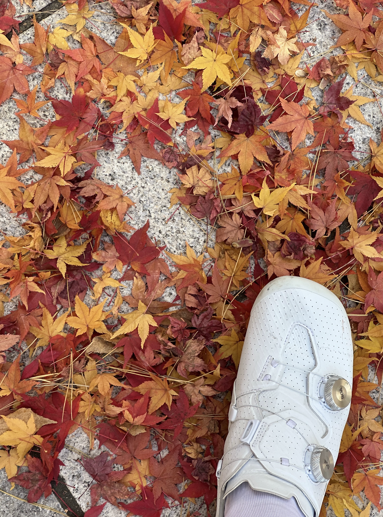 스크린샷 2025-12-30 오전 11.58.38.png