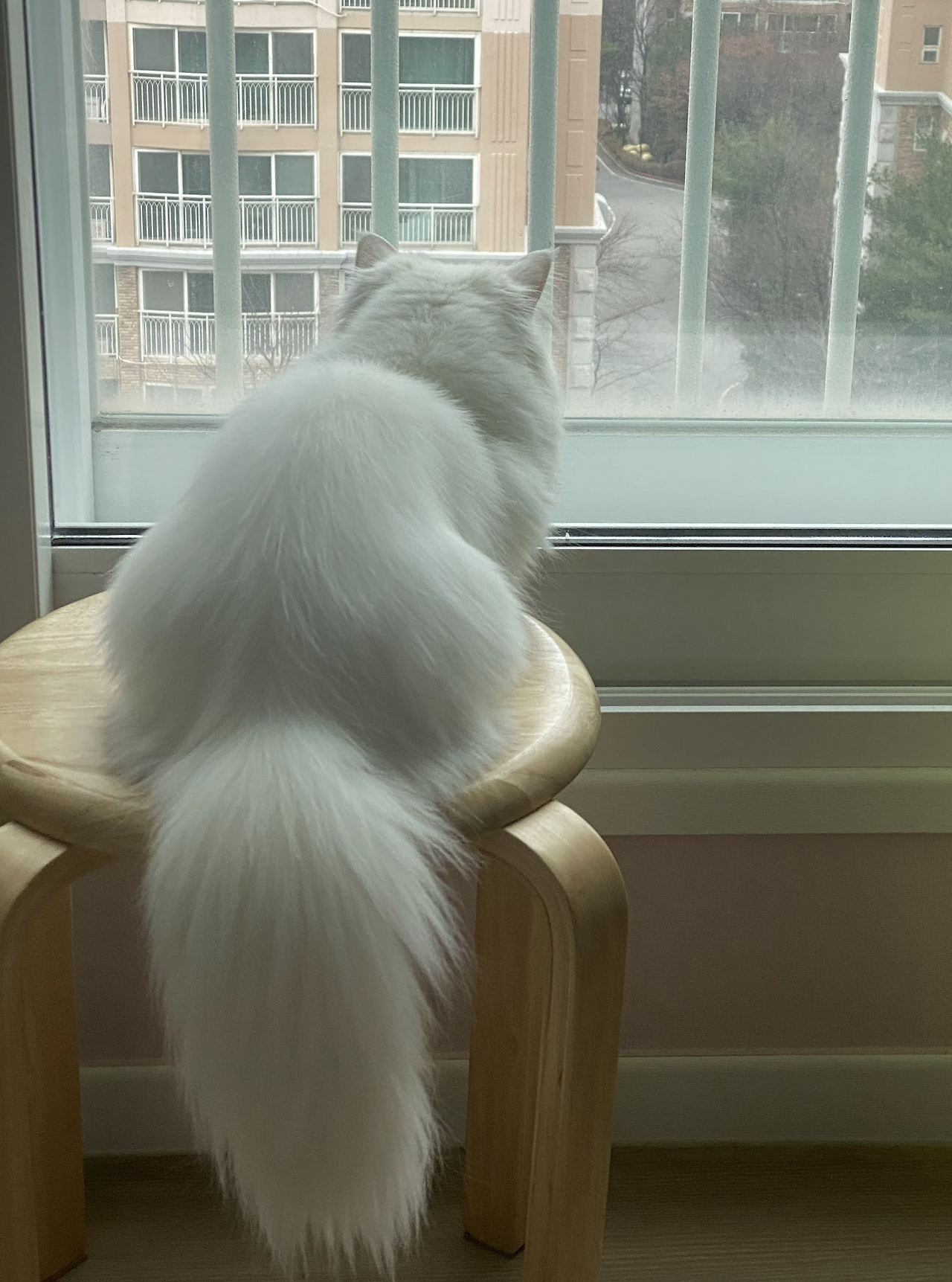 스크린샷 2023-01-17 오전 6.03.55.png