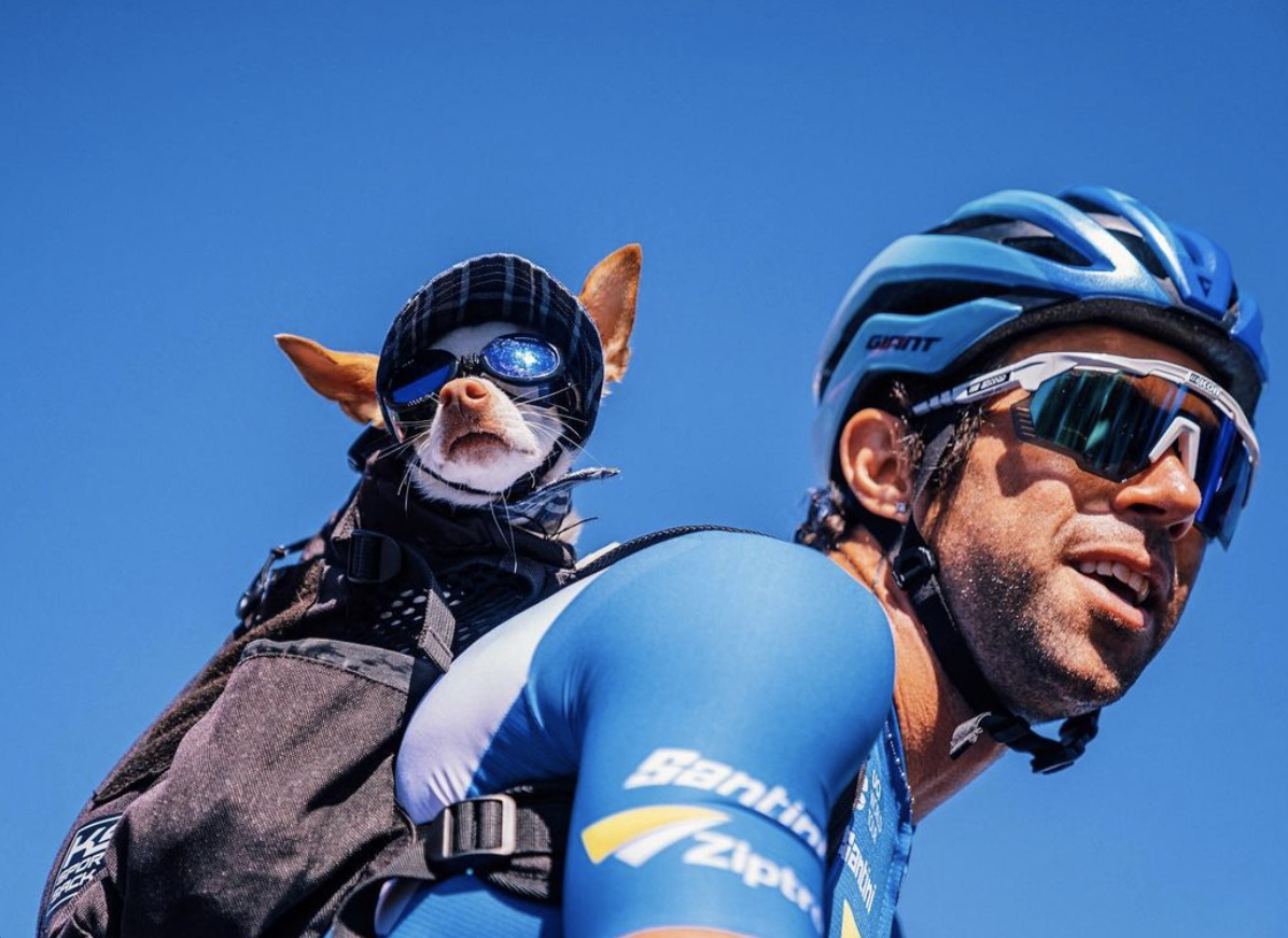 스크린샷 2023-05-09 오전 7.06.37.png