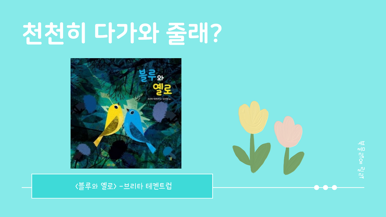 북믈리에 릴리l.png