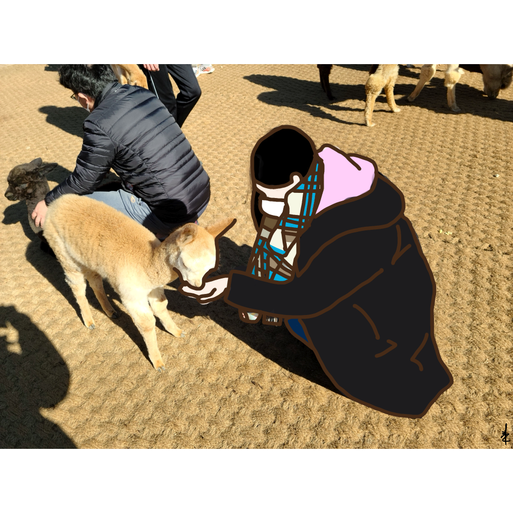 홍천 3.png