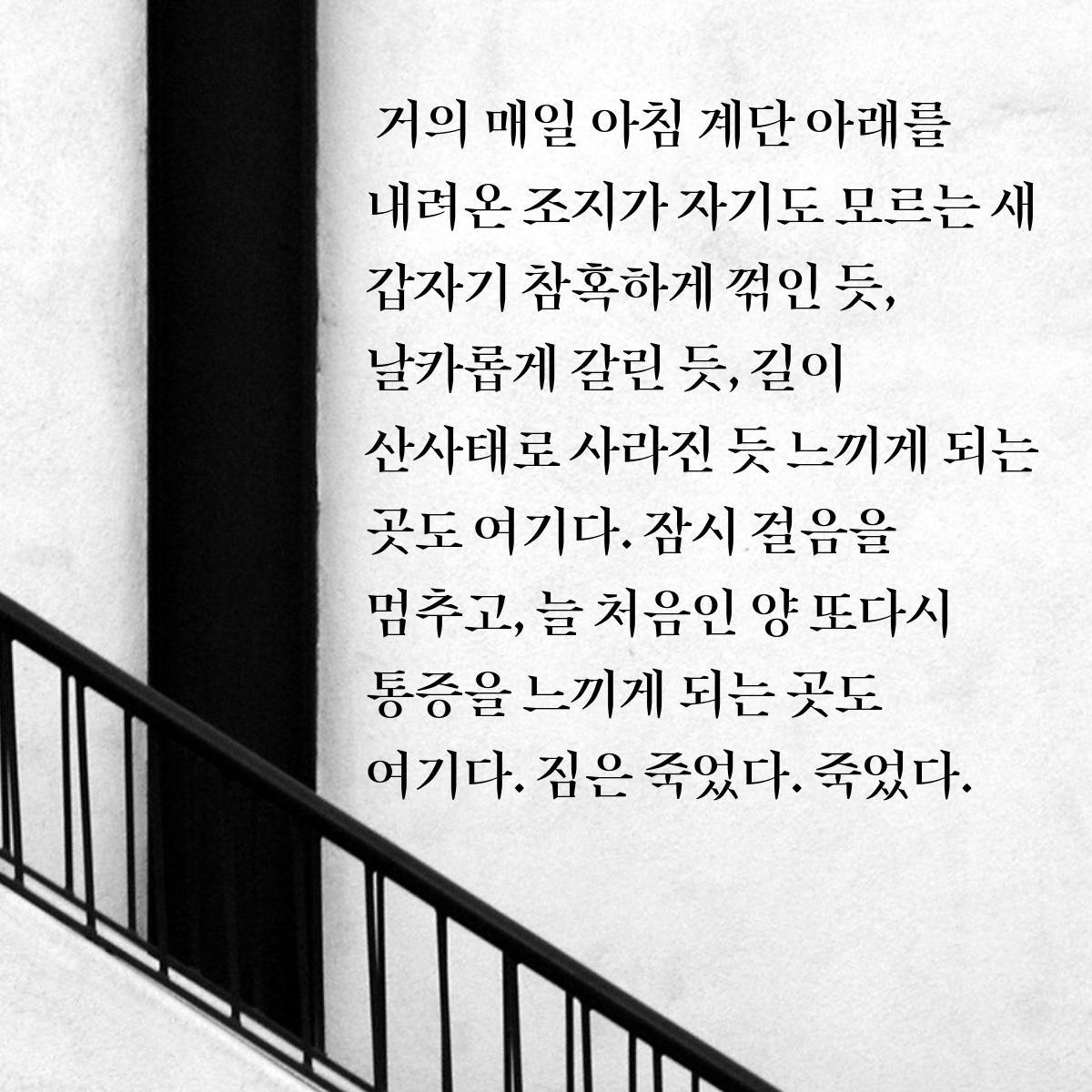 제목 없음-2.png