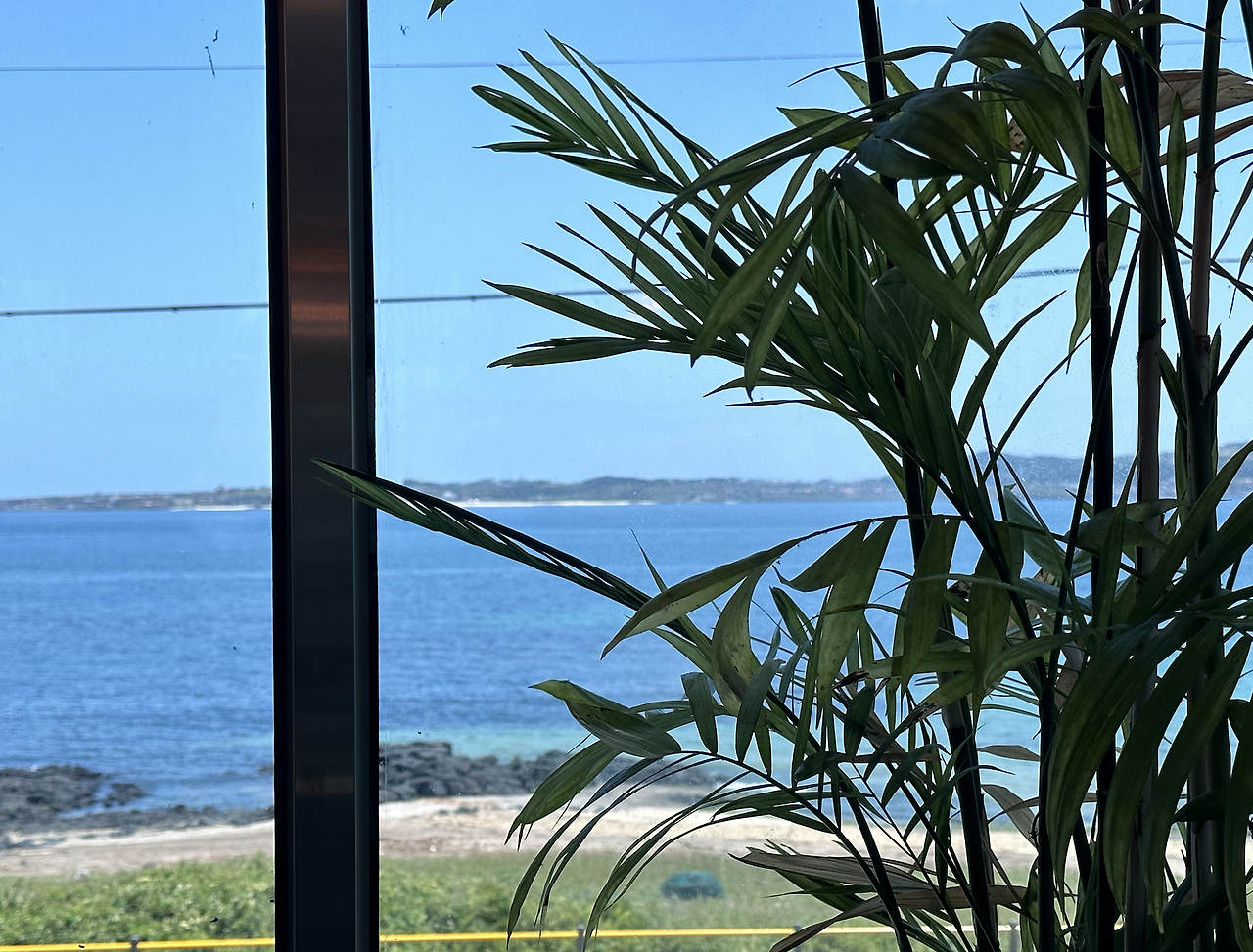 스크린샷 2023-07-07 오후 7.51.26.png