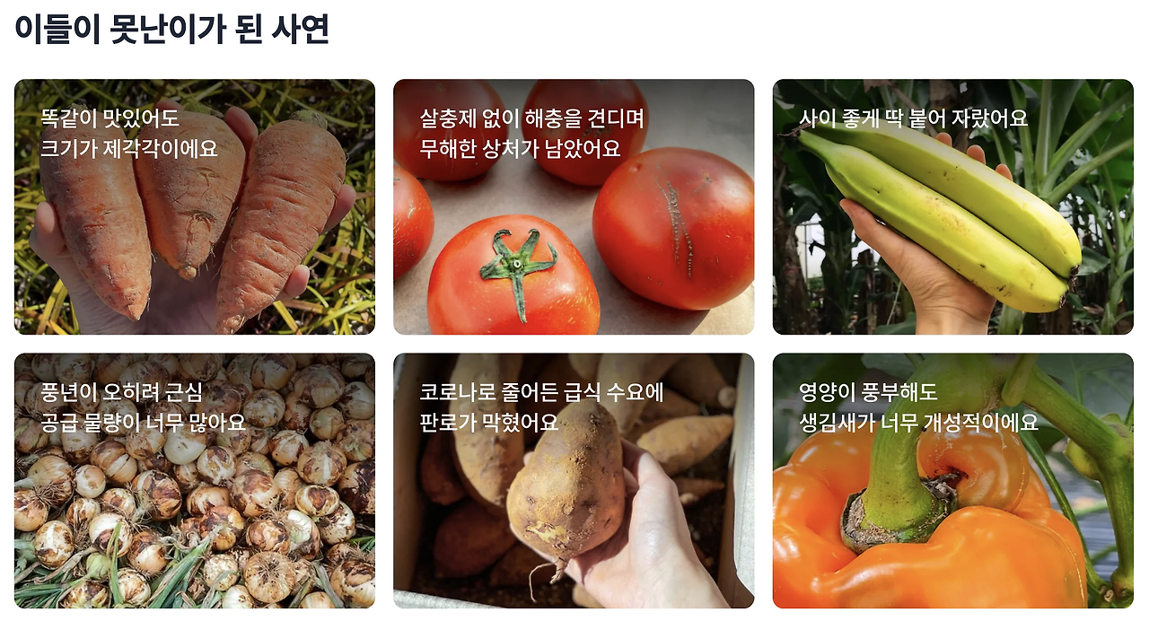 스크린샷 2022-11-05 오후 4.35.20.png