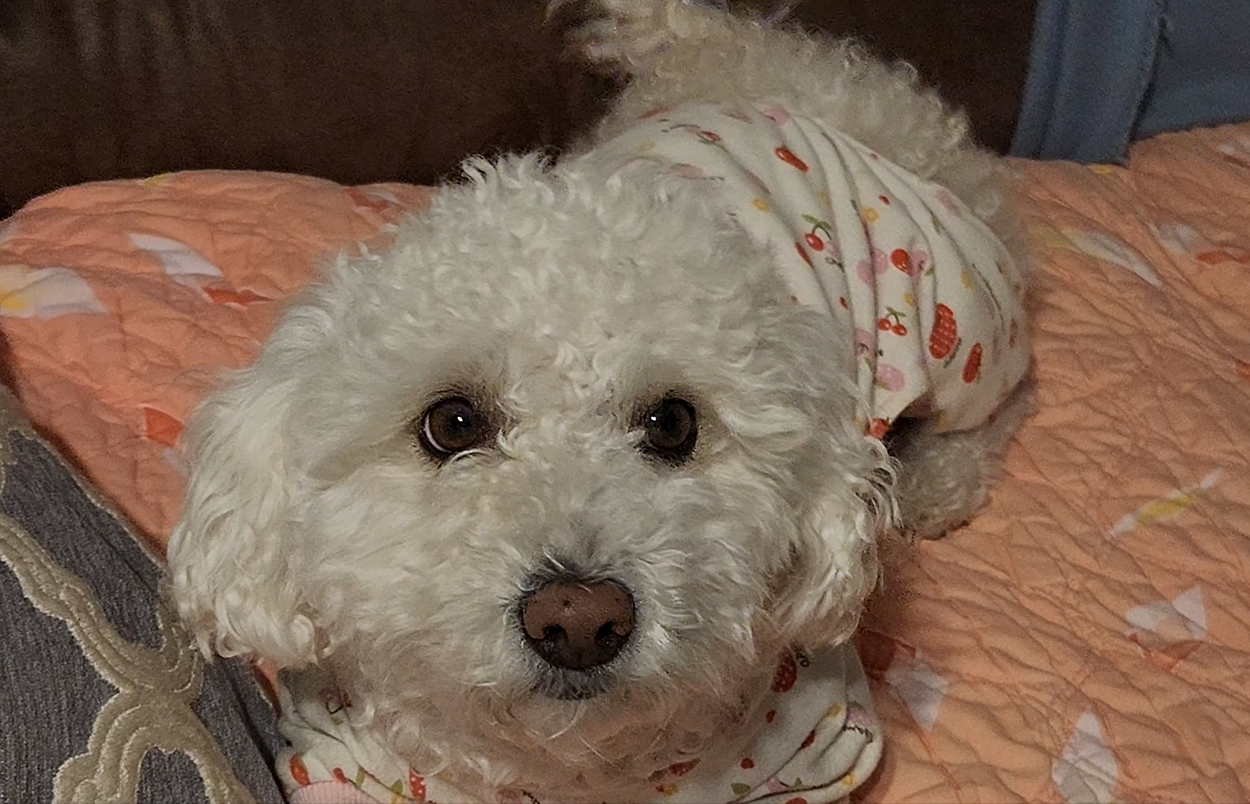 Screenshot 2026-01-15 155422.png