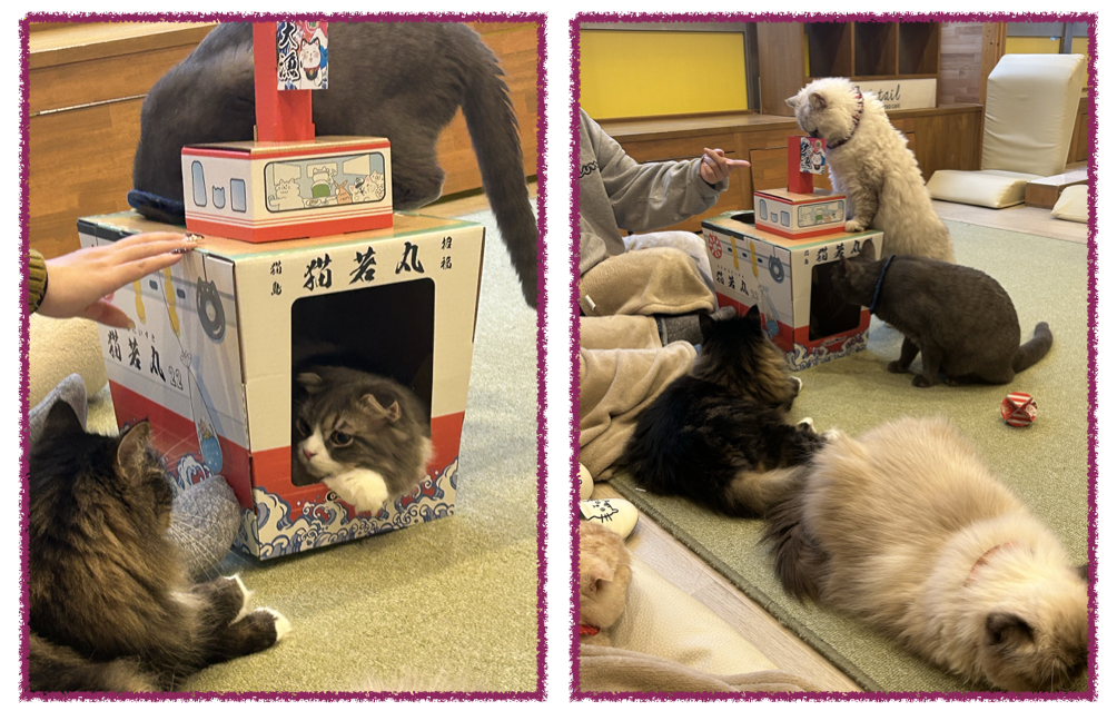 Screenshot 2024-01-05 at 20.35.32.png