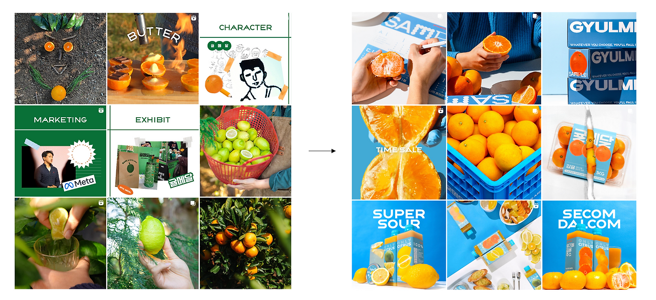 귤메달 콘텐츠4.png