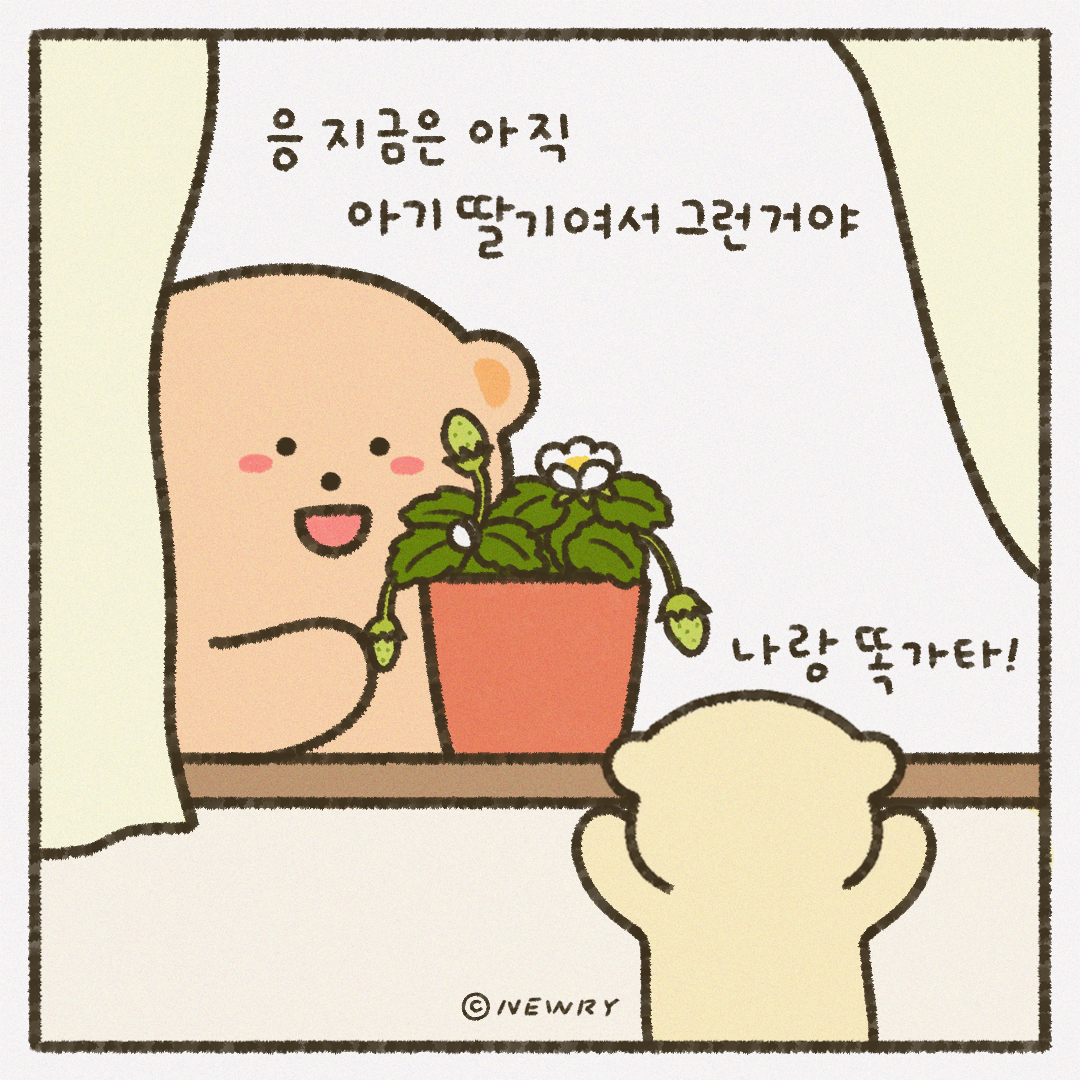 인스타툰_ep17_딸기키우기3.png
