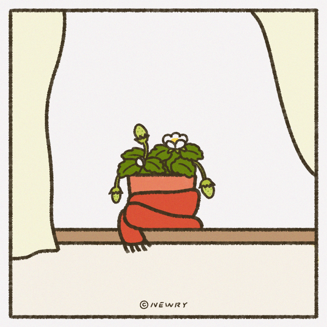 인스타툰_ep17_딸기키우기8.png