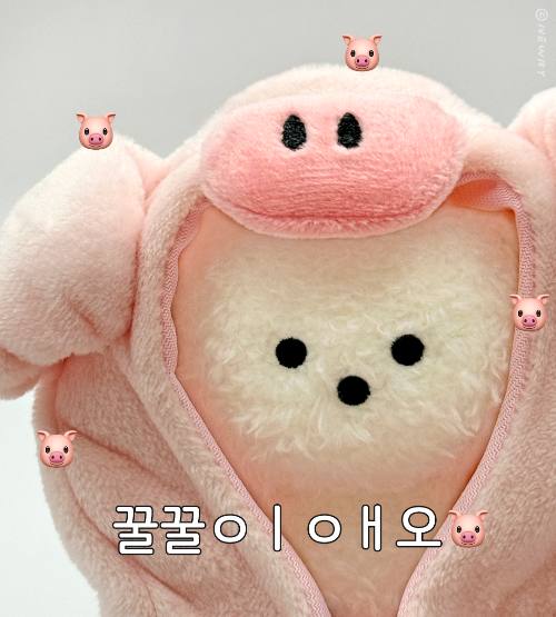 돼지짤4(2)_1080x1200.png