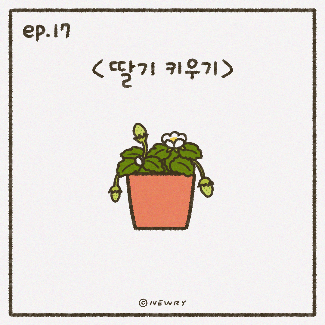 인스타툰_ep17_딸기키우기.png