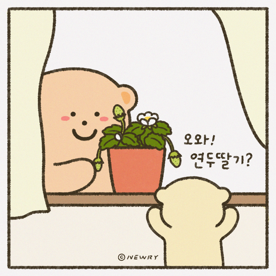인스타툰_ep17_딸기키우기2.png