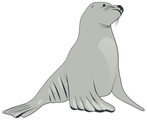 valessiobrito-Sea-Lion-1.png