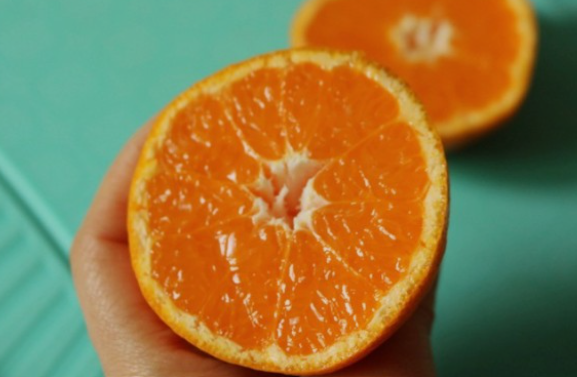 화면 캡처 2022-02-19 235211.png