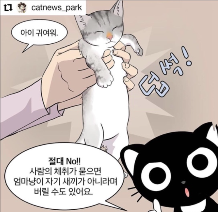 화면 캡처 2022-09-29 201358.png