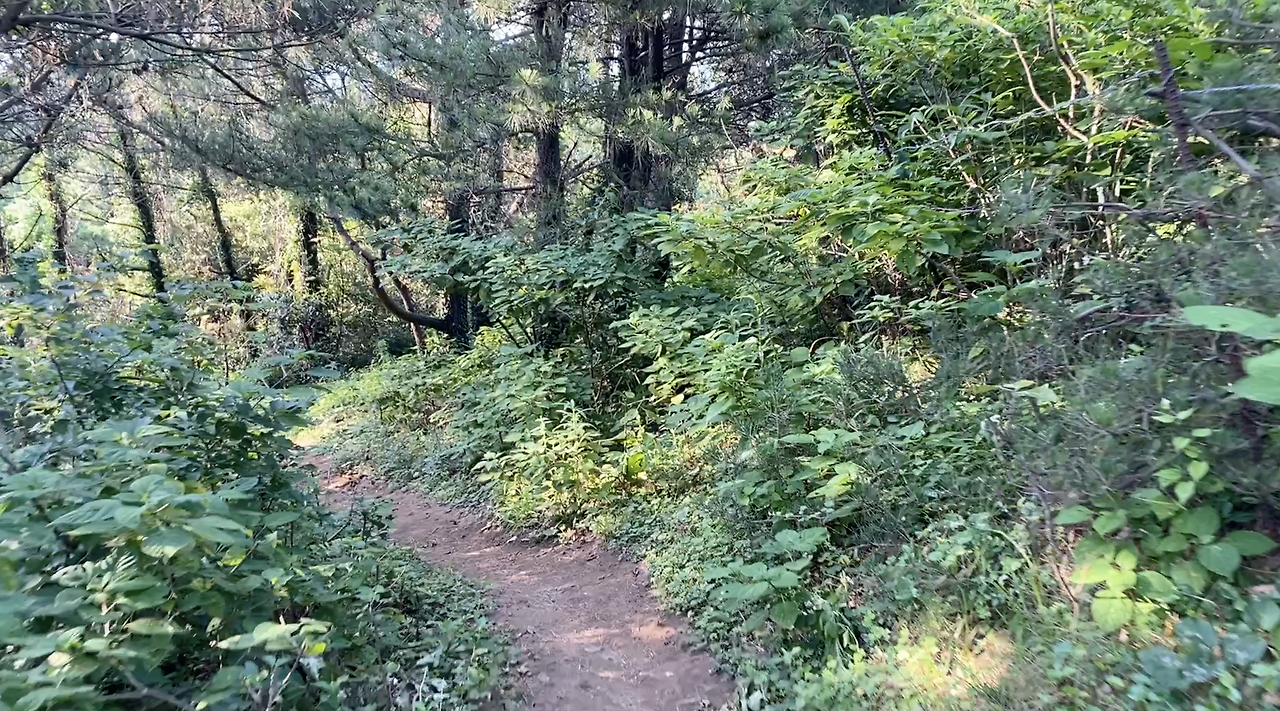 스크린샷 2021-07-02 오후 11.15.58.png