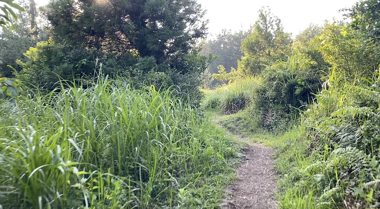 스크린샷 2021-07-02 오후 11.16.18.png